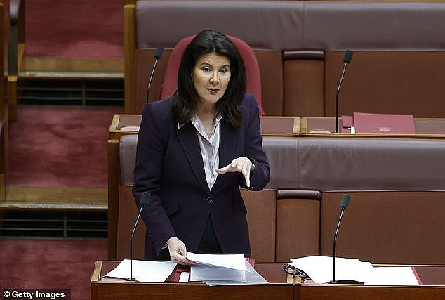 Jane Hume 在議會發言的照片，並非報道中的 AI 廣告畫面